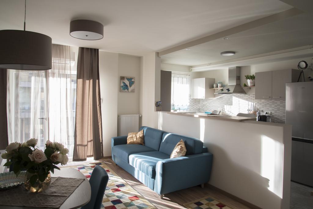 Apartment Cristian 2 蒂米什瓦拉 外观 照片